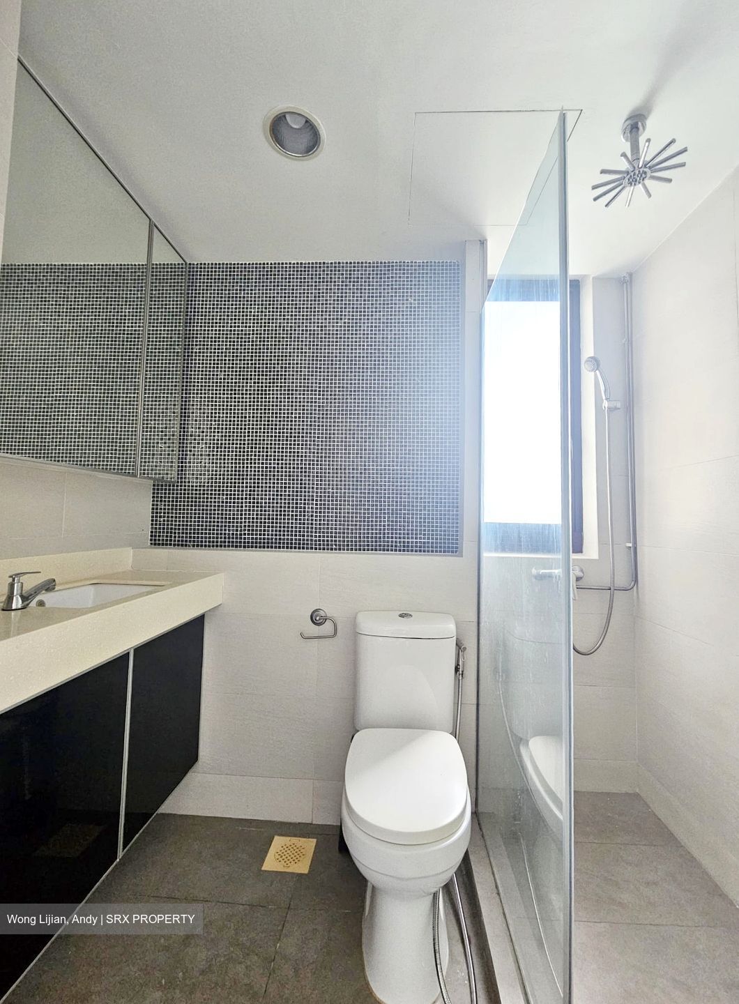 The Tanamera (D16), Condominium #501954851